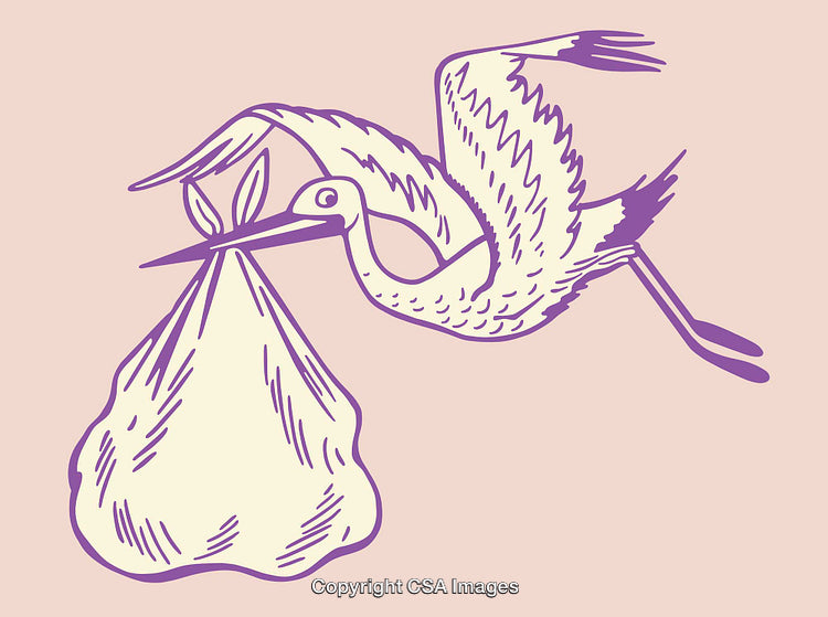 Purple Line Art Illustration of a Stork Carrying a Baby Swaddle