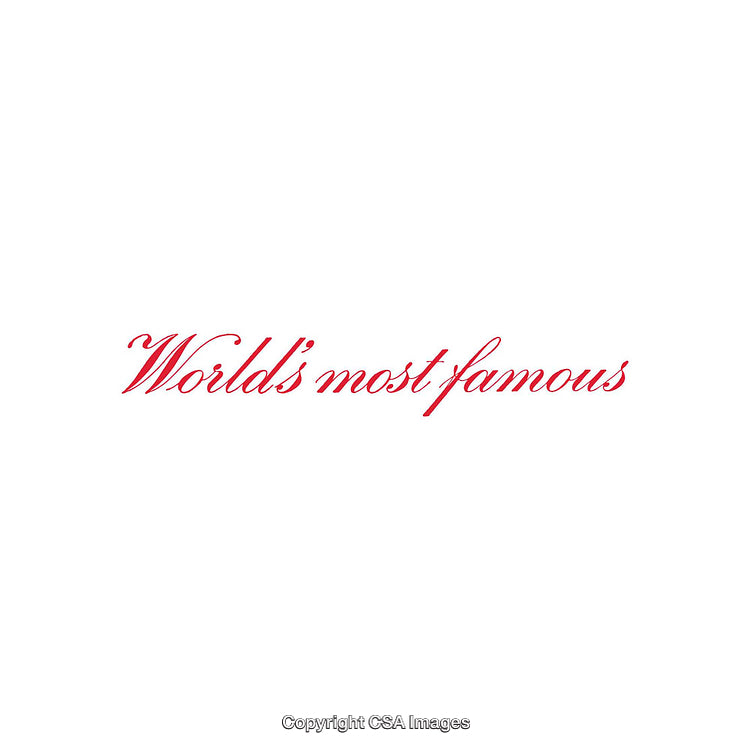 Stylish Red Calligraphic Typography on Clean White Background