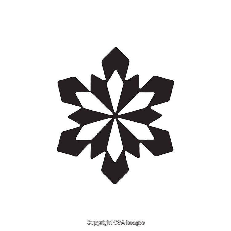 Black and White Snowflake Silhouette Design Featuring Geometric Style