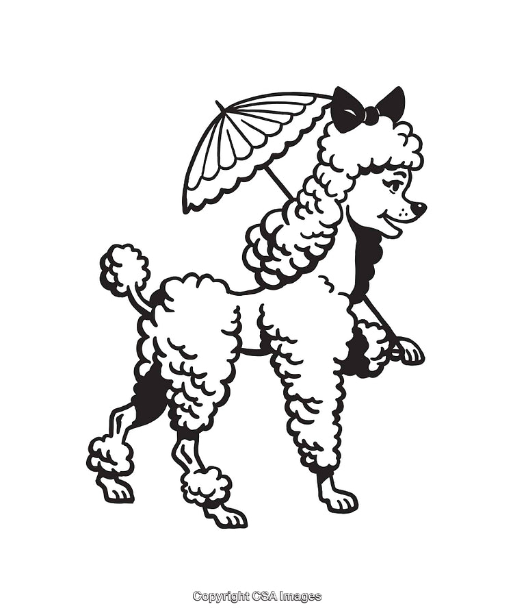 Elegant Poodle Illustration Holding a Parasol in Black and White Line Art