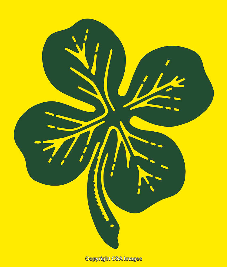 Four-Leaf Clover Illustration in Contrasting Green and Yellow Colors