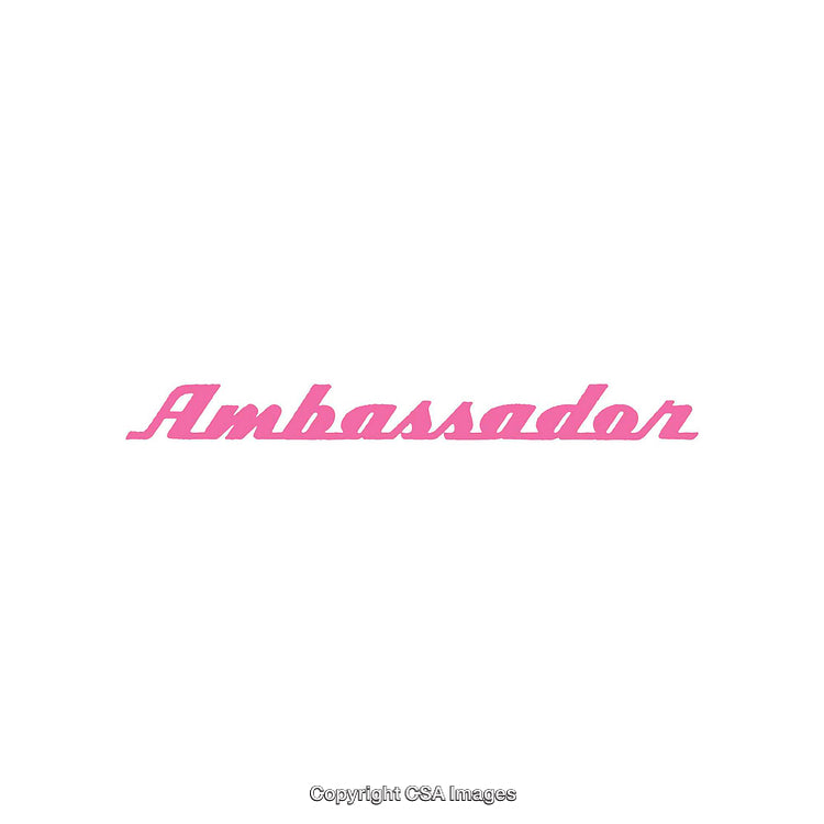 Stylized Pink Ambassador Text on a White Background
