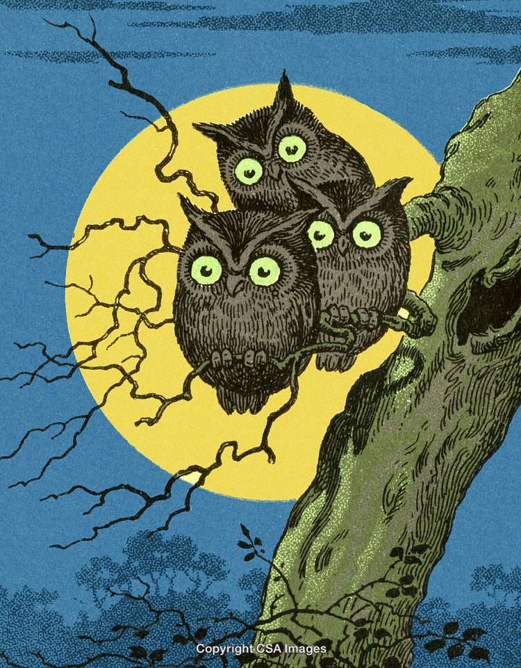 Three Owls Perched on Tree Branch Against Full Moon Backdrop