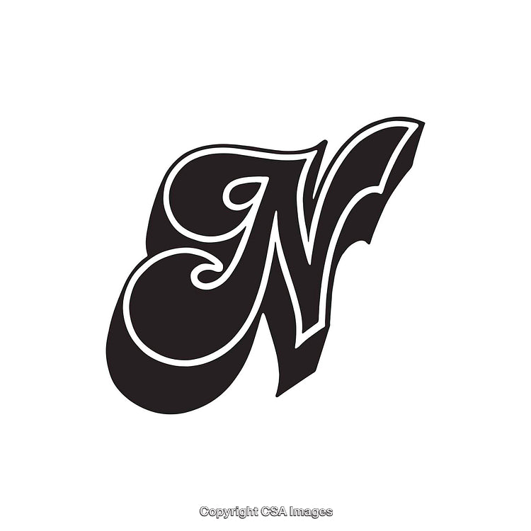 Elegant Monogram Design Featuring Decorative Letter N on White Background
