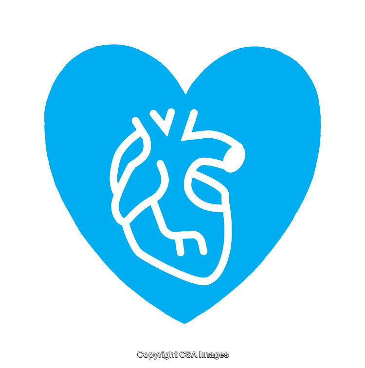 Blue Heart Outline Icon Featuring an Anatomical Heart Drawing