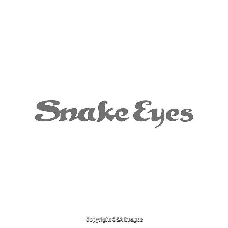 Minimalistic Monochrome Text Design Featuring 'Snake Eyes'