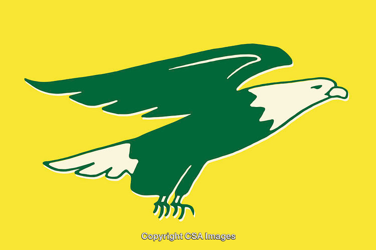 Green Flying Eagle Illustration on Vibrant Yellow Background