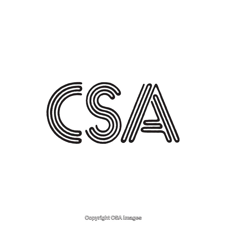 Stylized Outline Typography Letters with Unique Decorative Features and Design Concepts