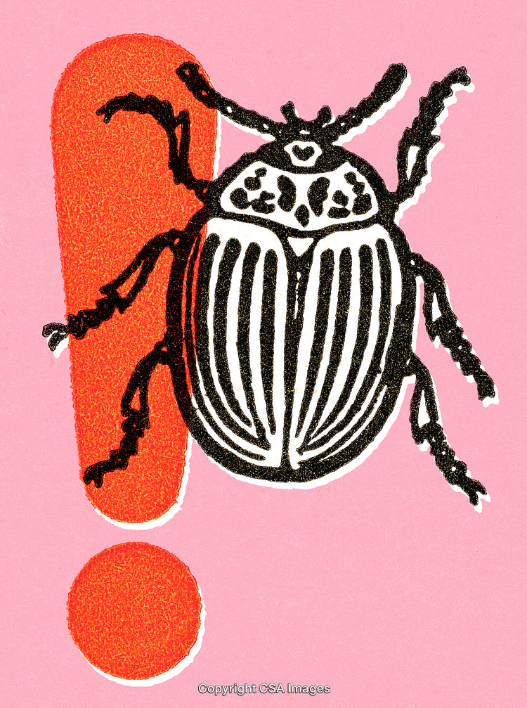 Graphic Illustration of Beetle with Exclamation Mark on Pink Background