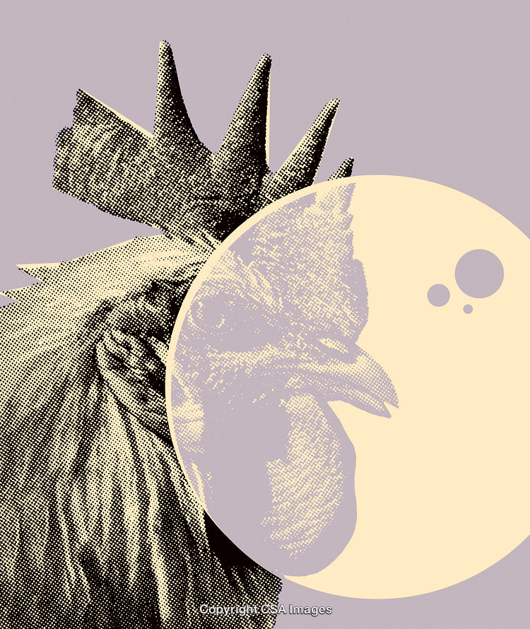 Halftone Stylized Rooster Illustration with Retro Abstract Design Elements