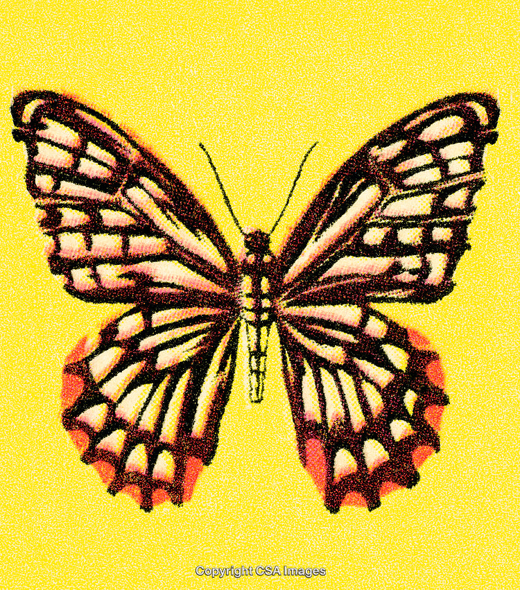 Vibrant Butterfly Illustration on Bright Yellow Background