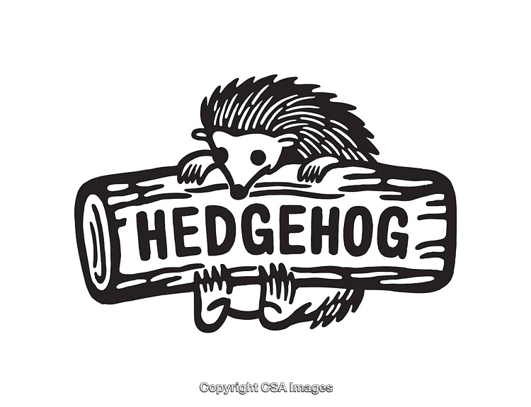 Hand-Drawn Hedgehog Graphic in Stylized Black and White Design