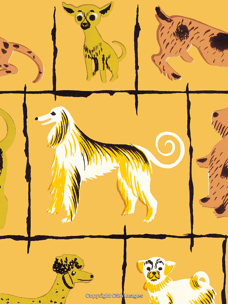 Illustration of Various Dog Breeds in a Colorful and Artistic Style