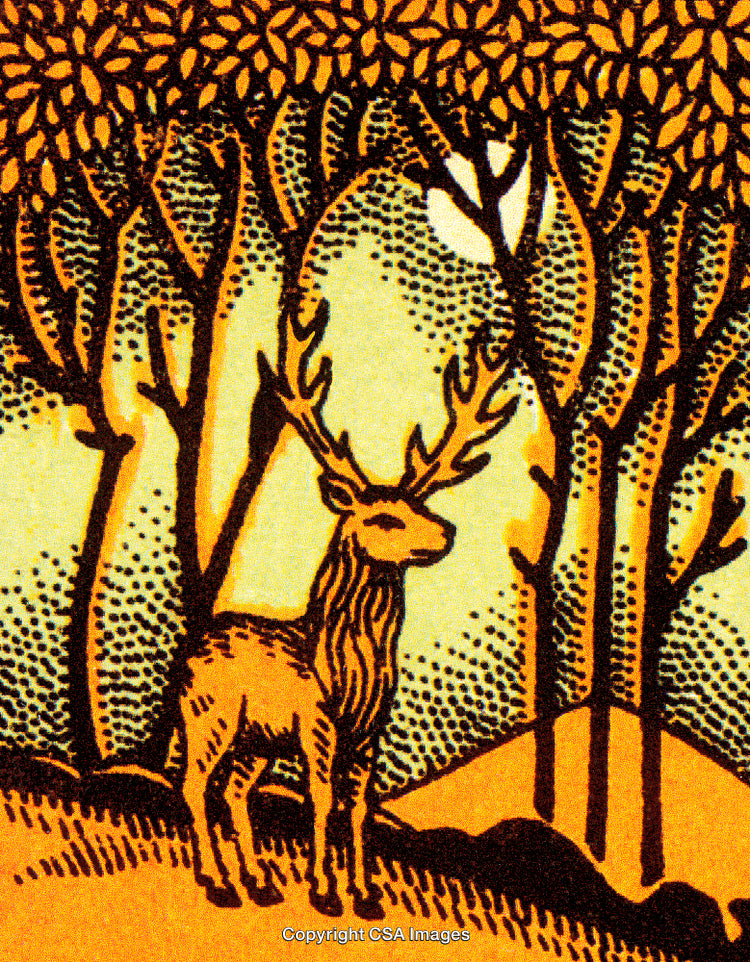 Majestic Deer Standing Among Trees with Moonlight in Artistic Illustration