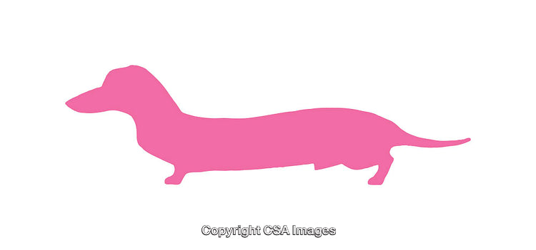 Pink Silhouette of a Dachshund Dog on a White Background