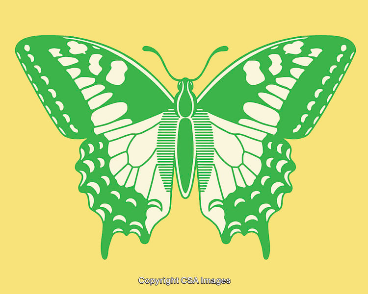 Green Butterfly Line Art on Yellow Background