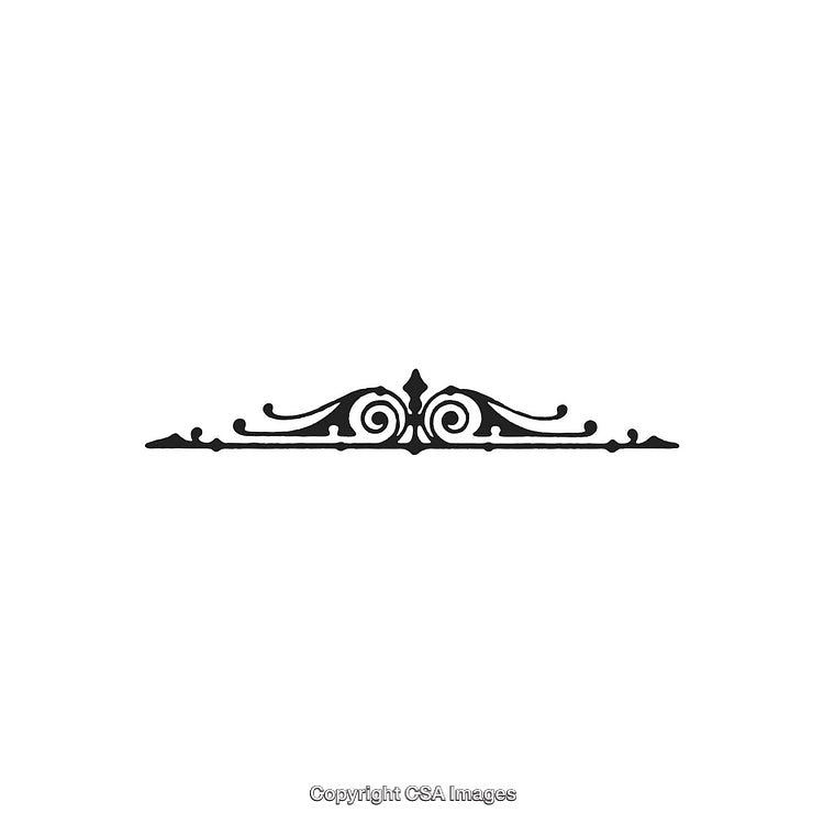 Elegant Black and White Decorative Border Design Vector Element