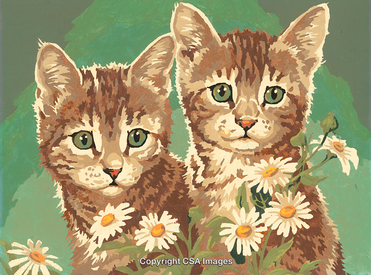 Adorable Tabby Kittens Illustrated with Daisies in a Paint-by-Number Style