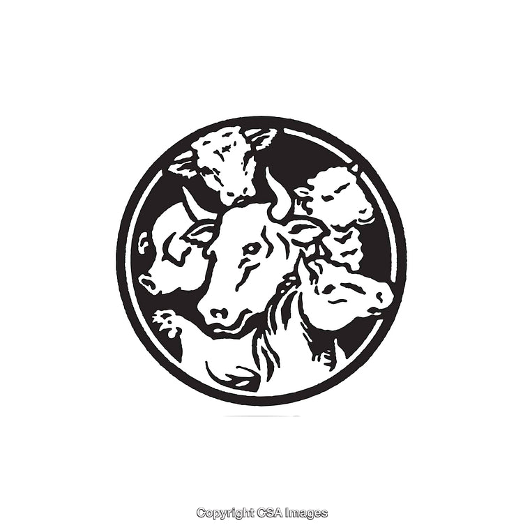 Illustration of Farm Animals in a Black and White Line Art Style