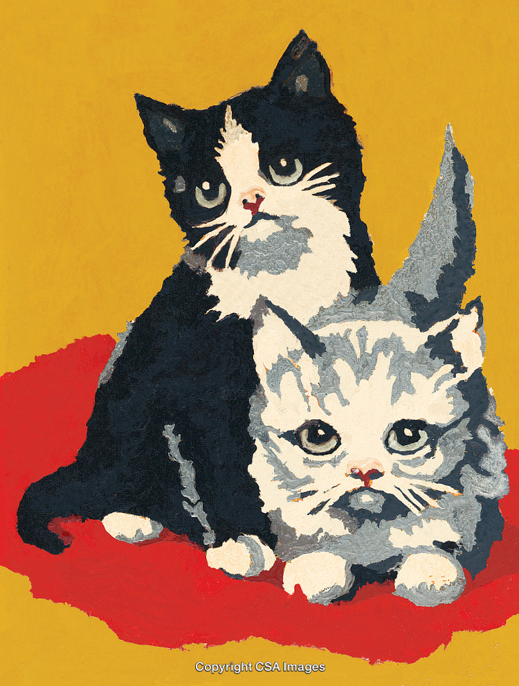 Adorable Kittens Posing Together on a Vibrantly Colored Background