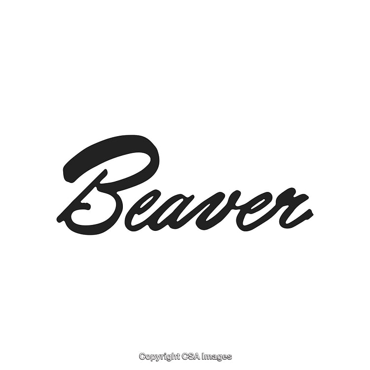 Elegant Black Script Typography of the Word Beaver on a White Background