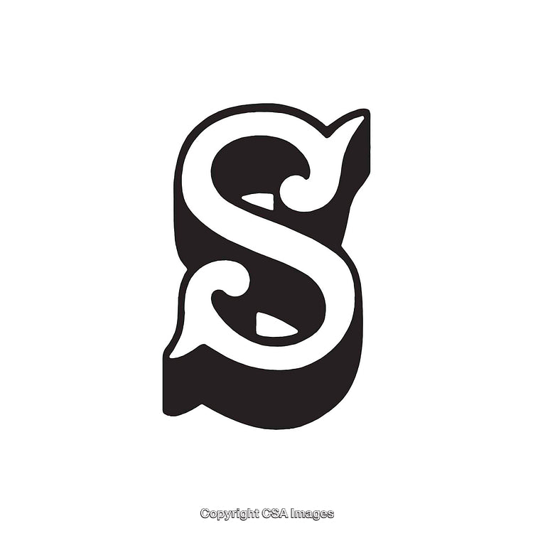 Elegant Ornate Letter S with Decorative Design Elements