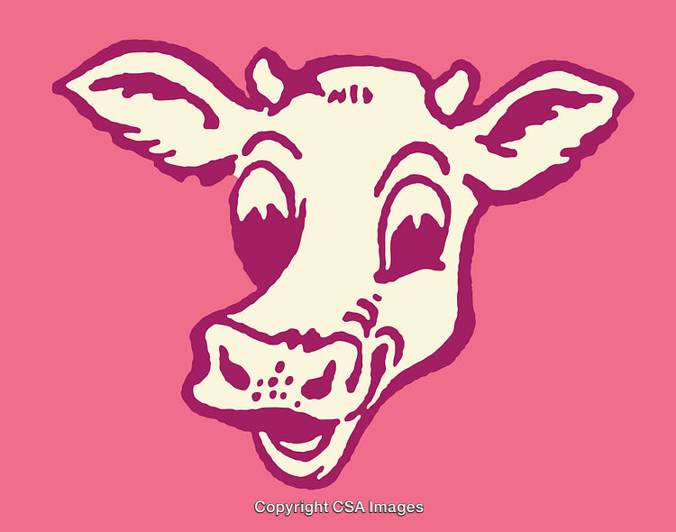Colorful Line Art Illustration of a Cheerful Cartoon Cow Face on Pink Background
