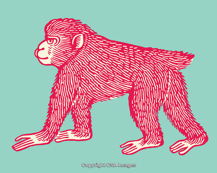 Stylized Red Monkey Illustration on a Light Teal Background