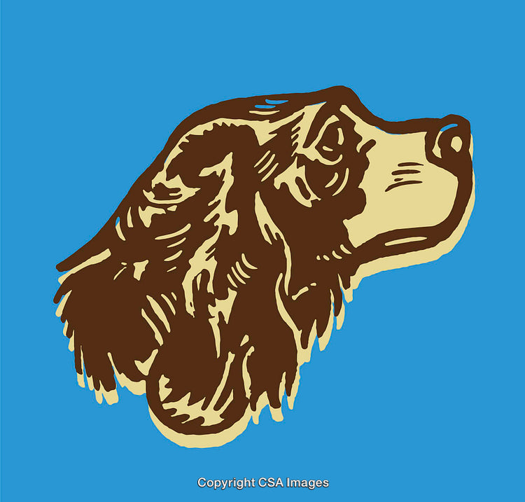 Brown and Beige Dog Portrait Illustration on a Blue Background