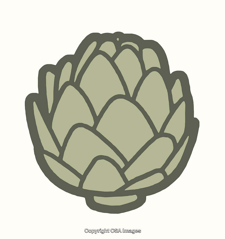 Minimalist Color Illustration of a Green Artichoke Vegetable