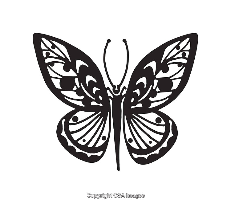 Intricate Black and White Butterfly Line Art Illustration