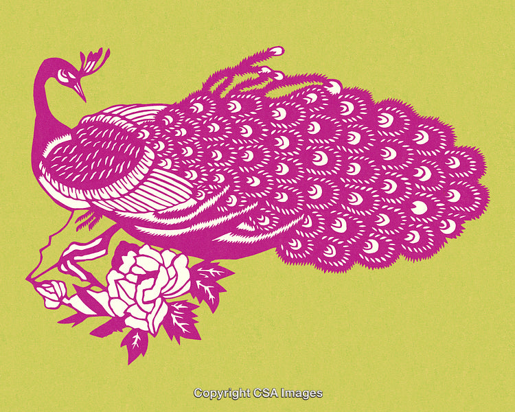 Pink Peacock Artwork With Floral Details on a Light Green Background