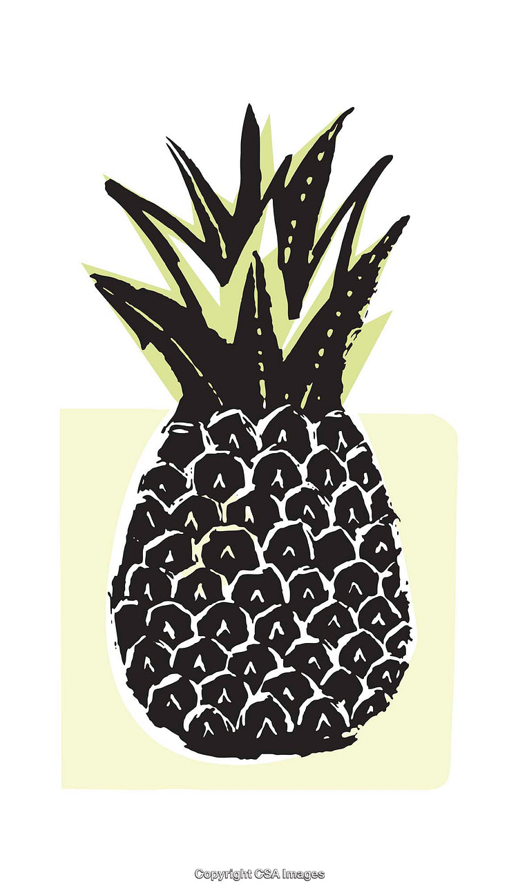 Colorful Illustration of a Pineapple in Simple Geometric Style