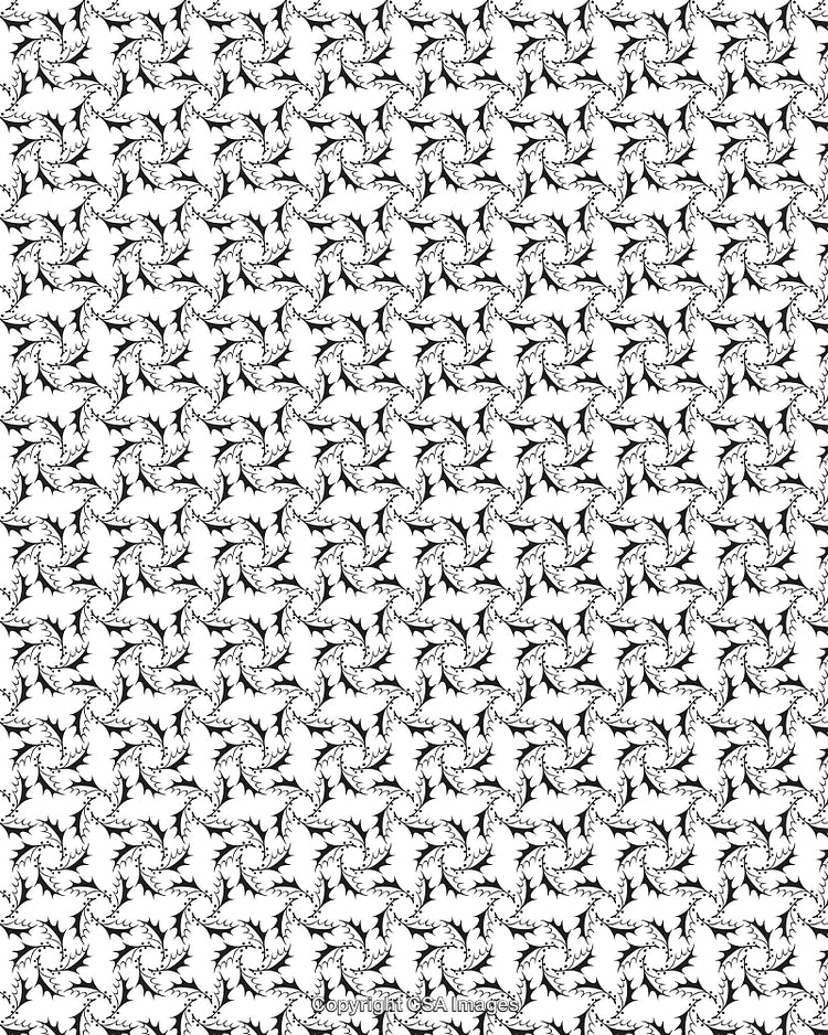 Seamless Black and White Floral Pattern With Intricate Leaves and Swirls