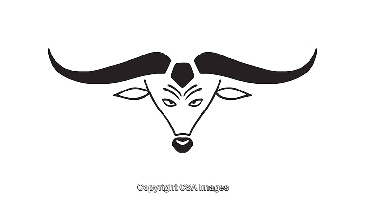 Stylized Black and White Buffalo Illustrative Artwork with Detailed Horns and Features