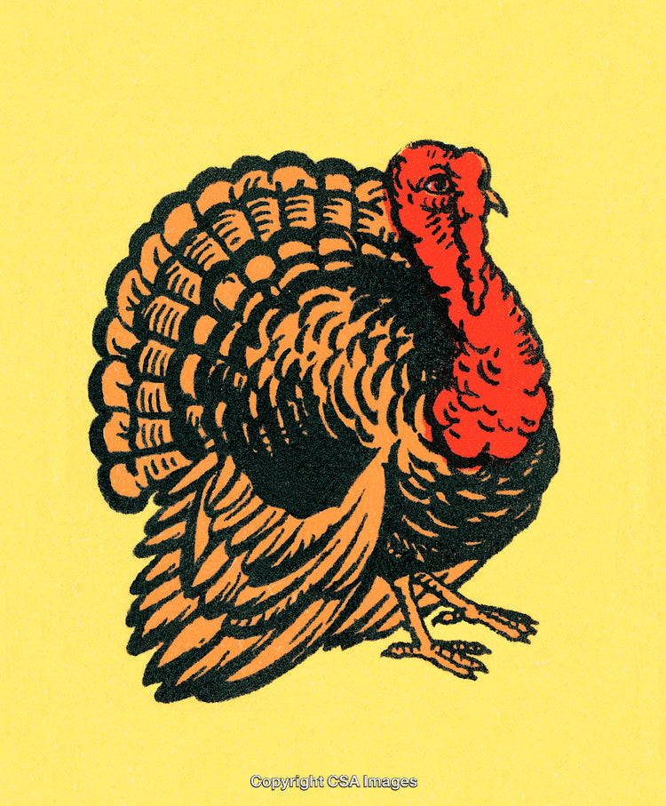 Illustrated Turkey Standing on Yellow Background Symbolizing Thanksgiving and Tradition
