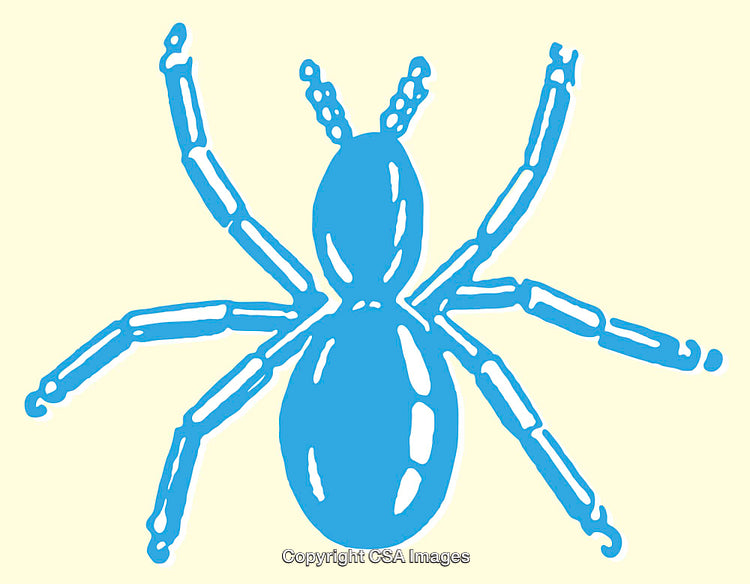Blue Spider Illustration on Light Background in Line Art Style