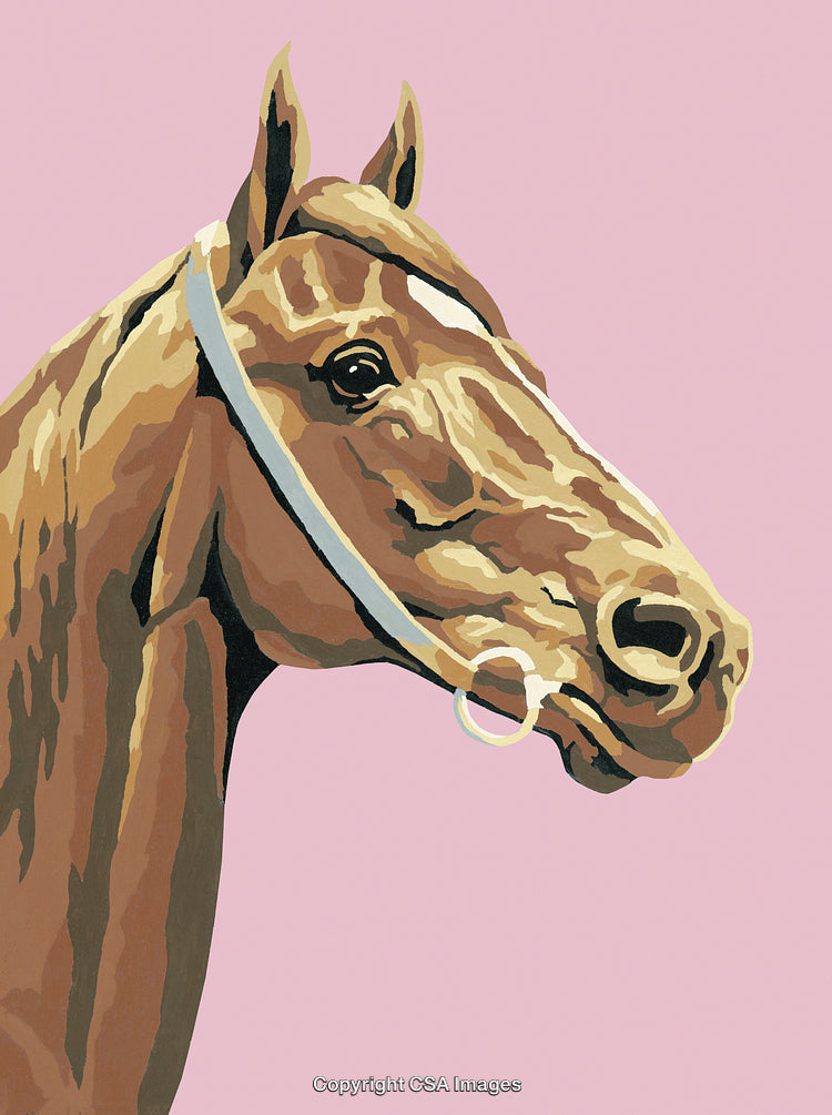Stylized Illustration of a Horse Head on a Pastel Pink Background