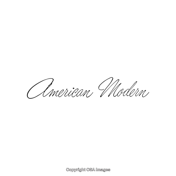Elegant Calligraphic Text Featuring American Modern Typography Style