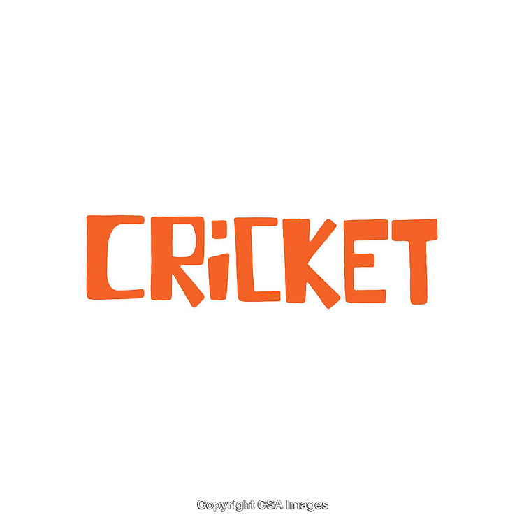 Minimalist Bold Orange "Cricket" Text Isolated on White Background