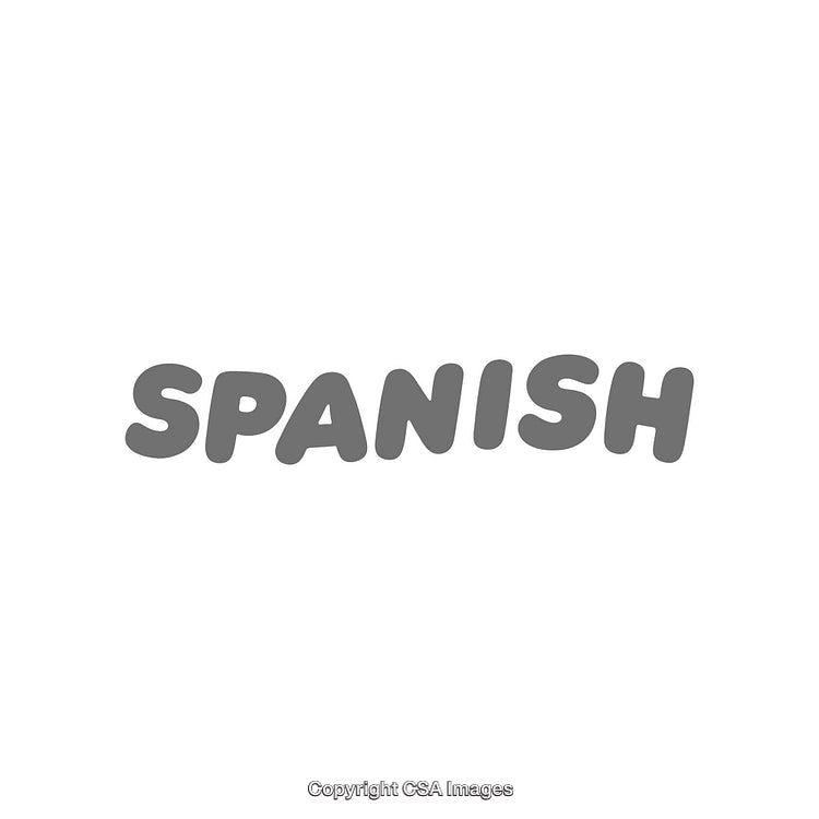 Typography Display with the Word 'Spanish' in Bold Grey Letters