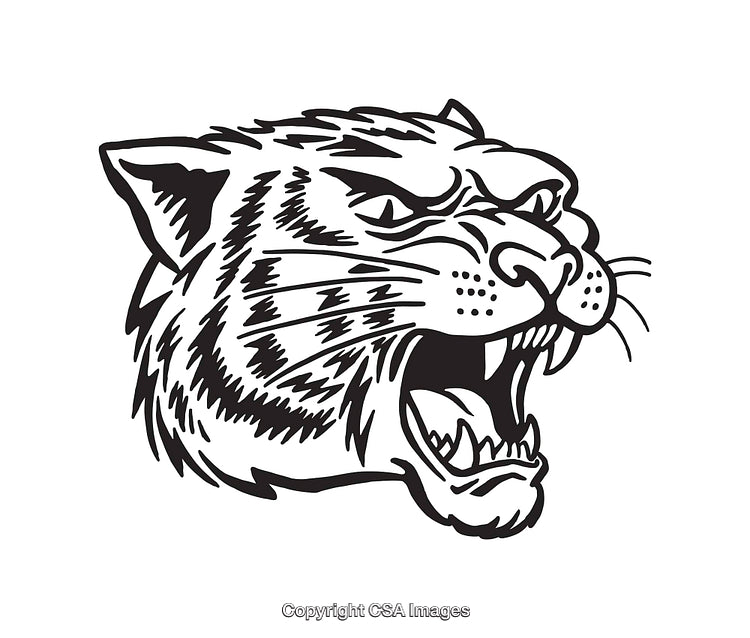 Fierce Tiger Head in Black and White Line Art Illustration