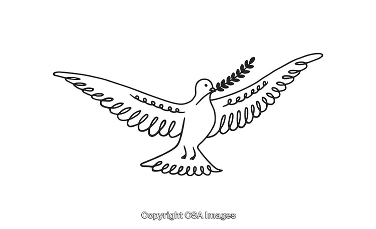 Elegant Line Art of a Dove with an Olive Branch Emphasizing Peace