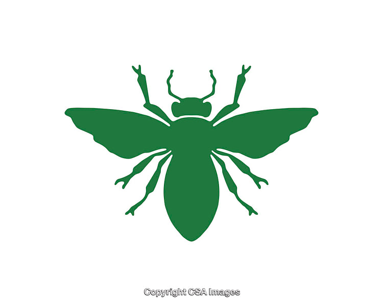 Green Silhouette Icon of a Flying Insect on White Background