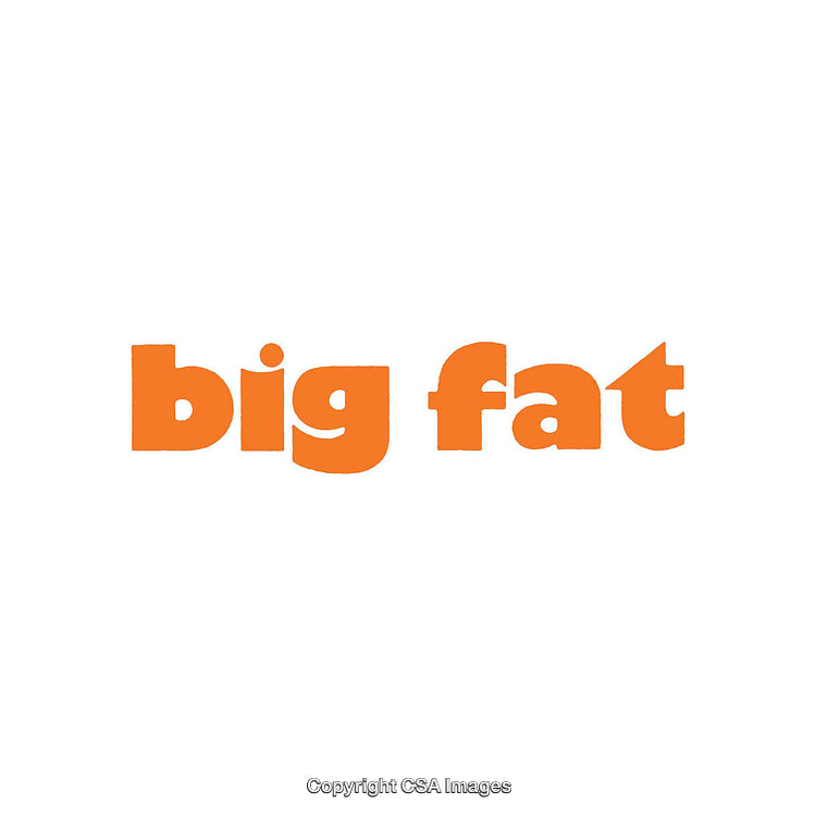 Bold Orange Text Displaying 'Big Fat' on White Background