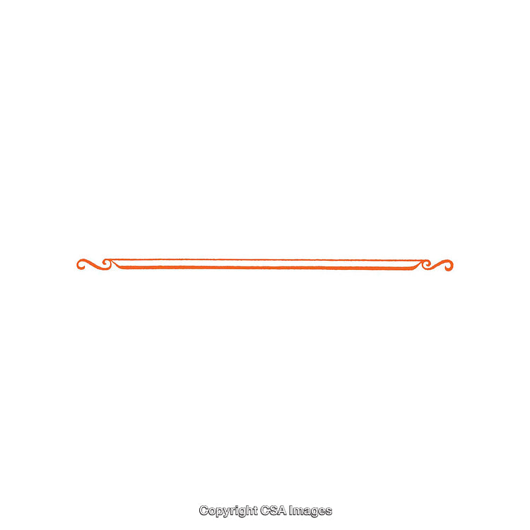 Orange Hand-Drawn Border Frame With Elegant Swirls on White Background