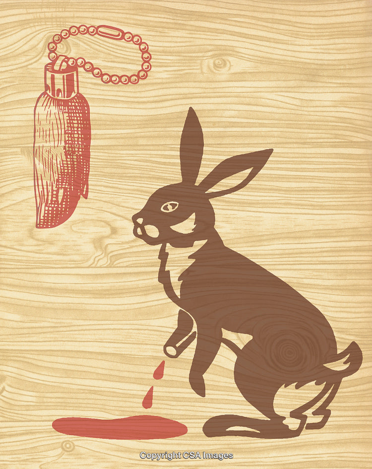 Illustration of a Rabbit with Red Drop Accents in Artistic Style