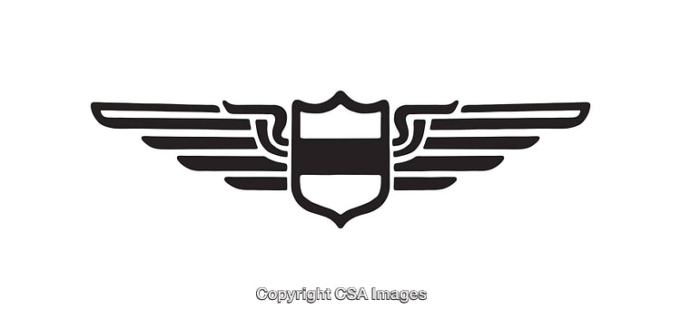 Black and White Winged Shield Icon with Elegant Line Art Design