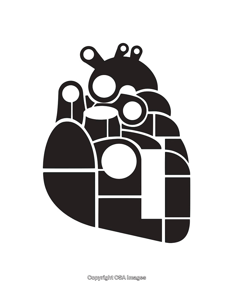 Abstract Black and White Line Art Illustration of a Designed Heart Shape