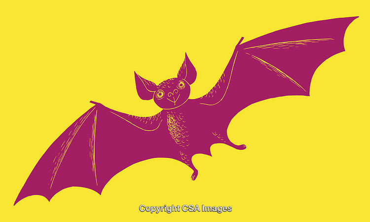 Playful Purple Bat Illustration on Bright Yellow Background
